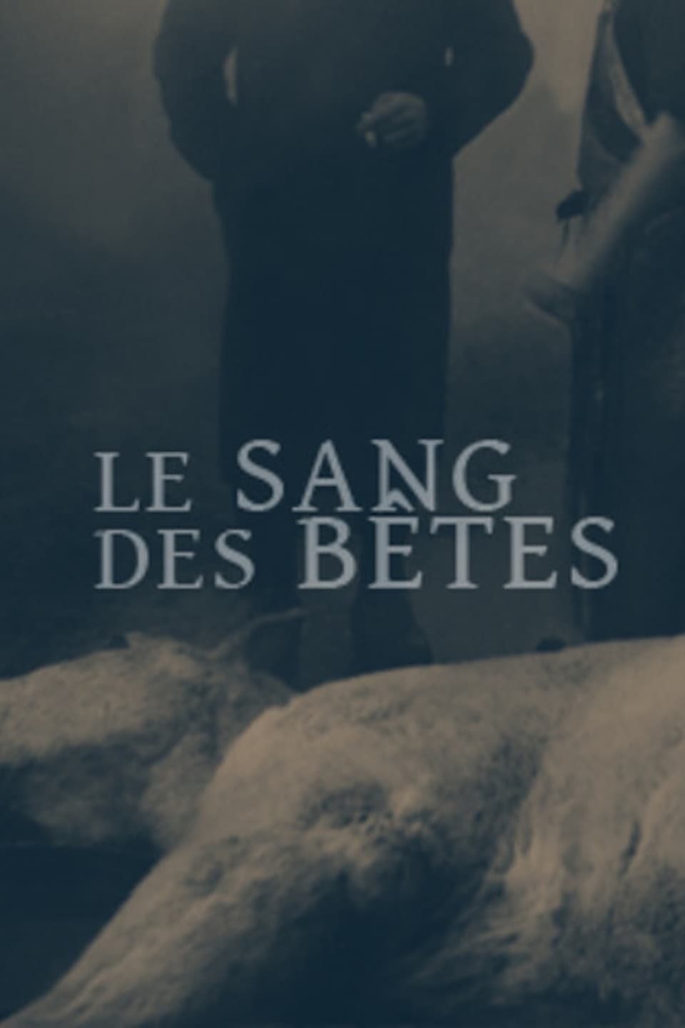 Le sang des bêtes | Le sang des bêtes