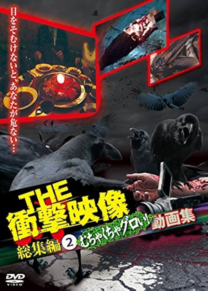 THE 衝撃映像 総集編（2）むちゃくちゃグロい！動画集