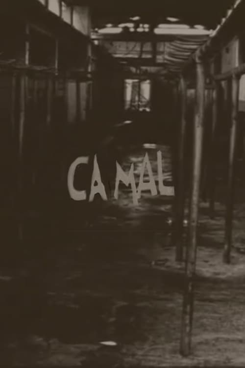 Camal | Camal