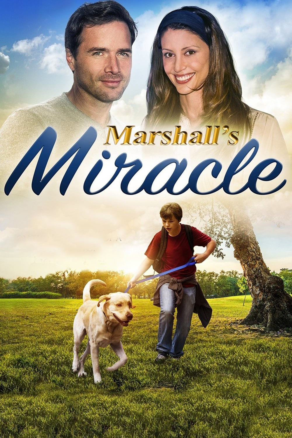 Marshall's Miracle | Marshall's Miracle