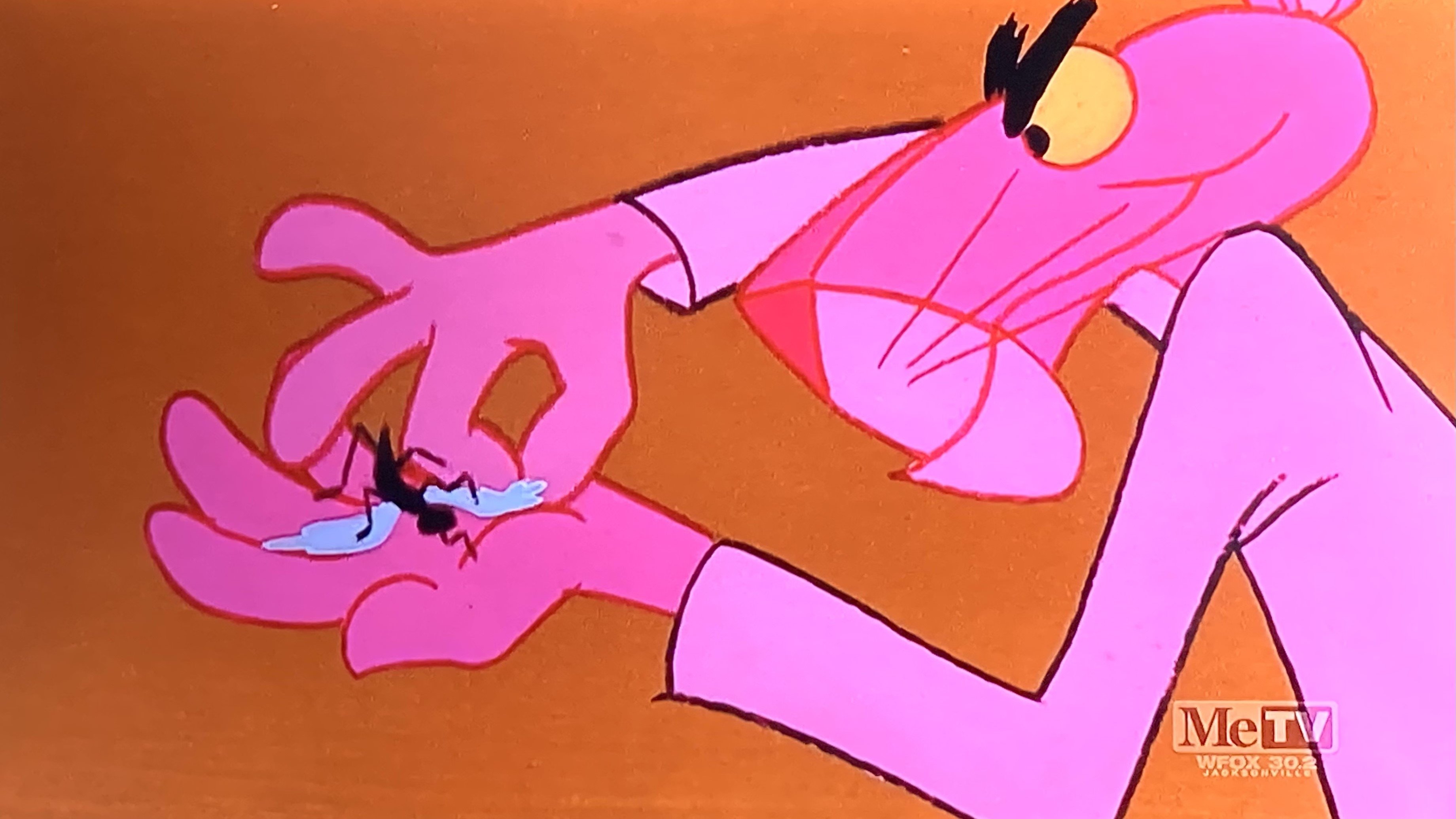 A Fly in the Pink|A Fly in the Pink