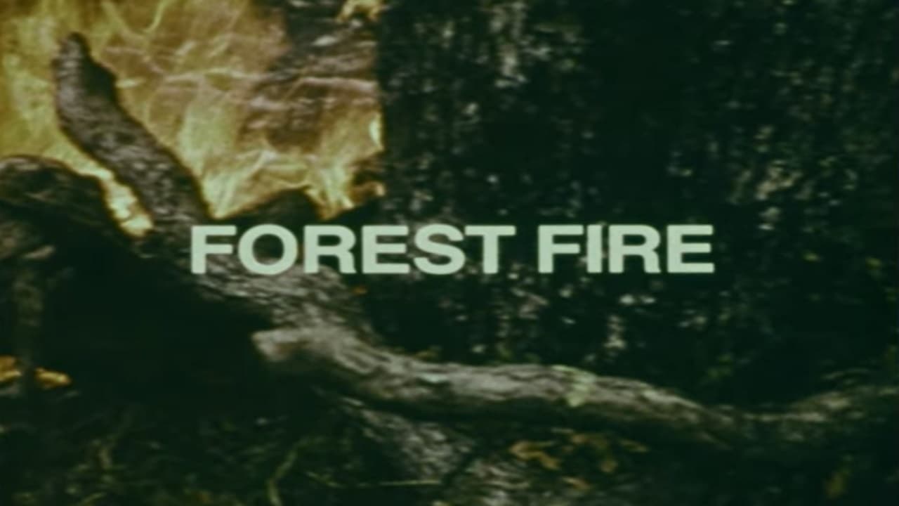 Your Chance to Live: Forest Fire|Your Chance to Live: Forest Fire