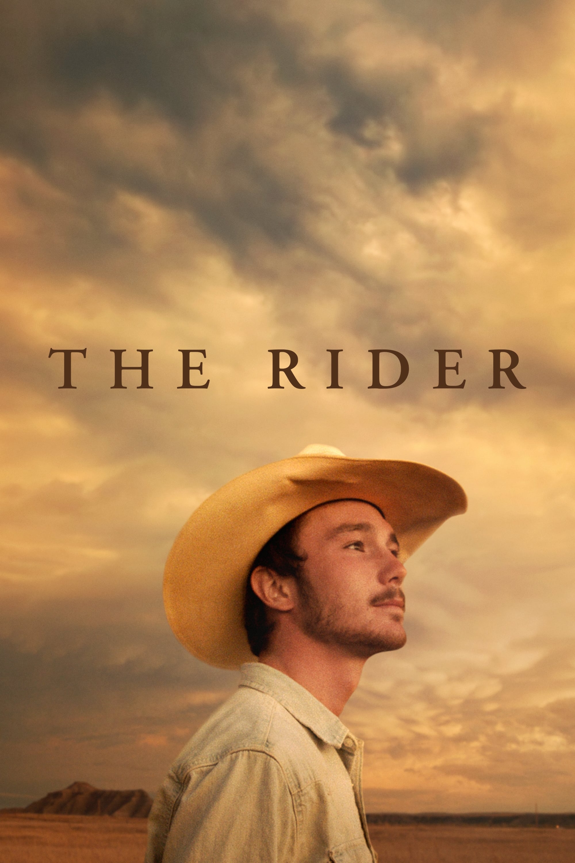 The Rider | The Rider