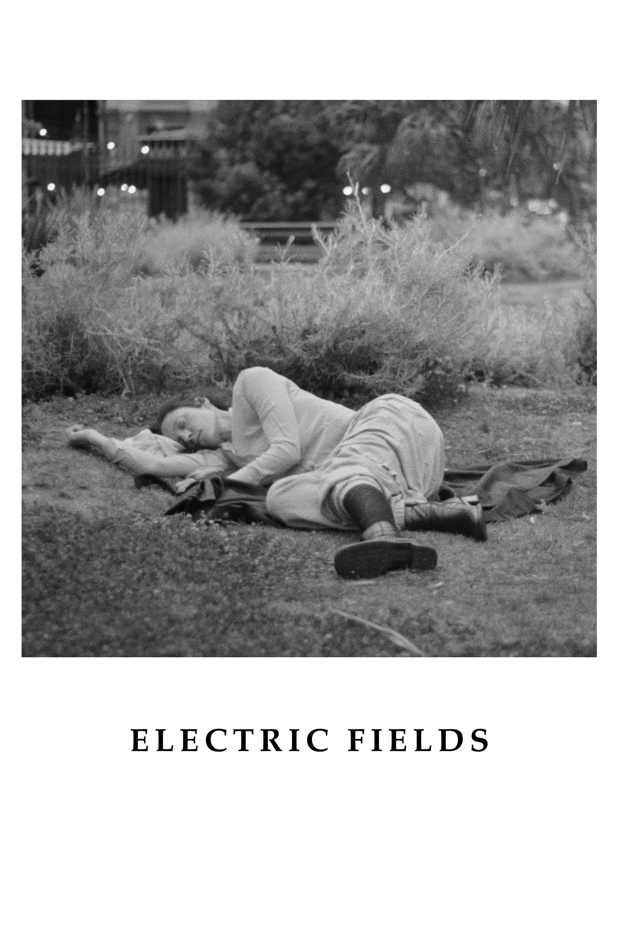 Electric Fields | Electric Fields