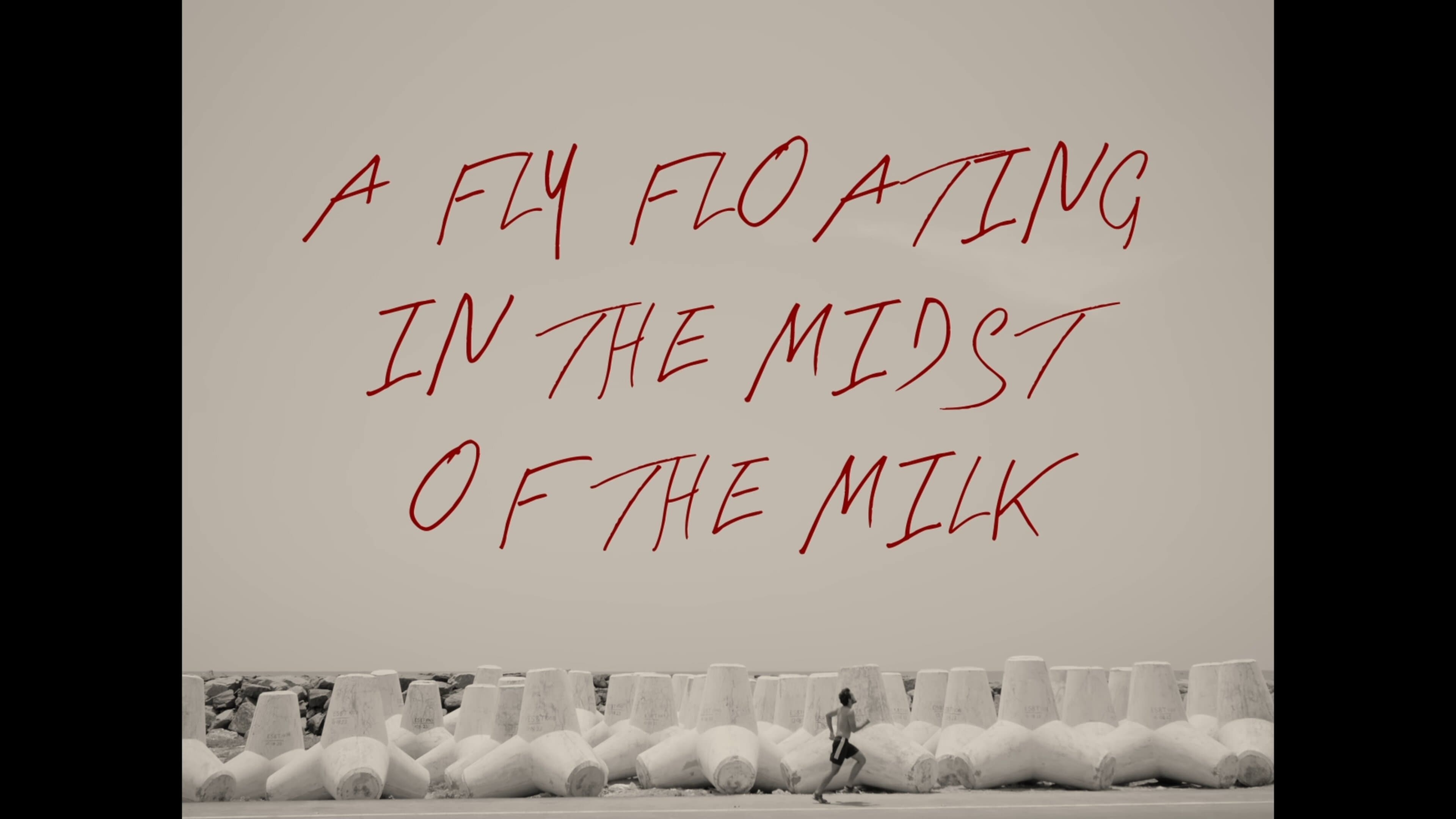 A Fly Floating In The Midst Of The Milk|A Fly Floating In The Midst Of The Milk