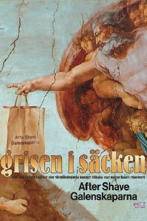 Grisen i säcken | Grisen i säcken