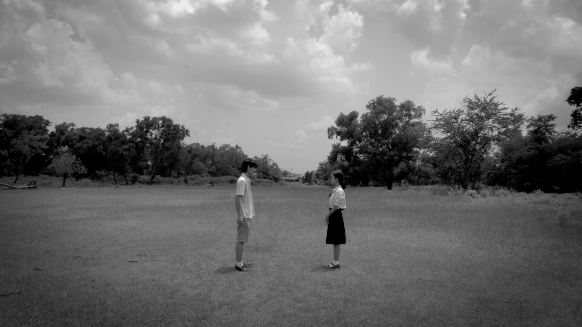 Apophenia: Volume 1|Apophenia: Volume 1
