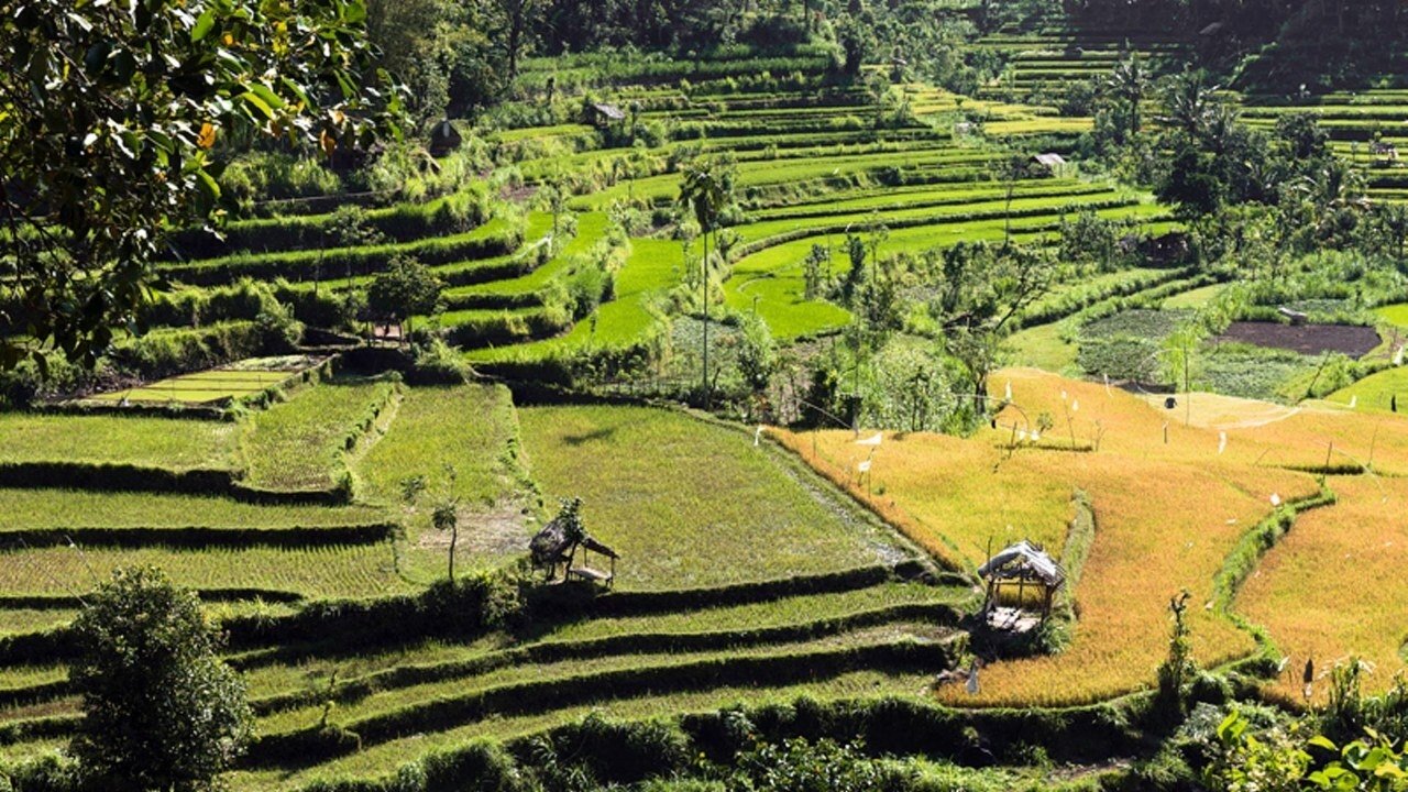 Tropenparadies Bali - Eine Perle Indonesiens|Tropenparadies Bali - Eine Perle Indonesiens