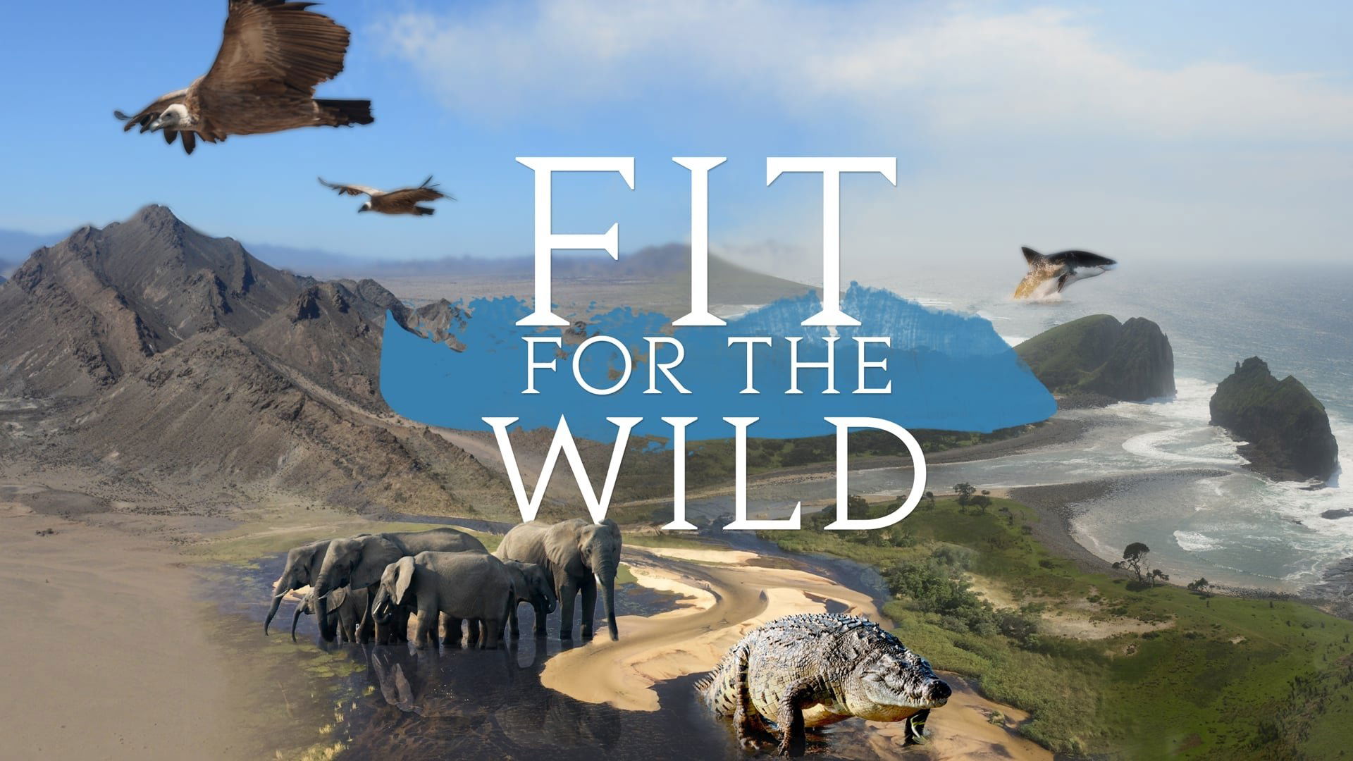Fit for the Wild|Fit for the Wild