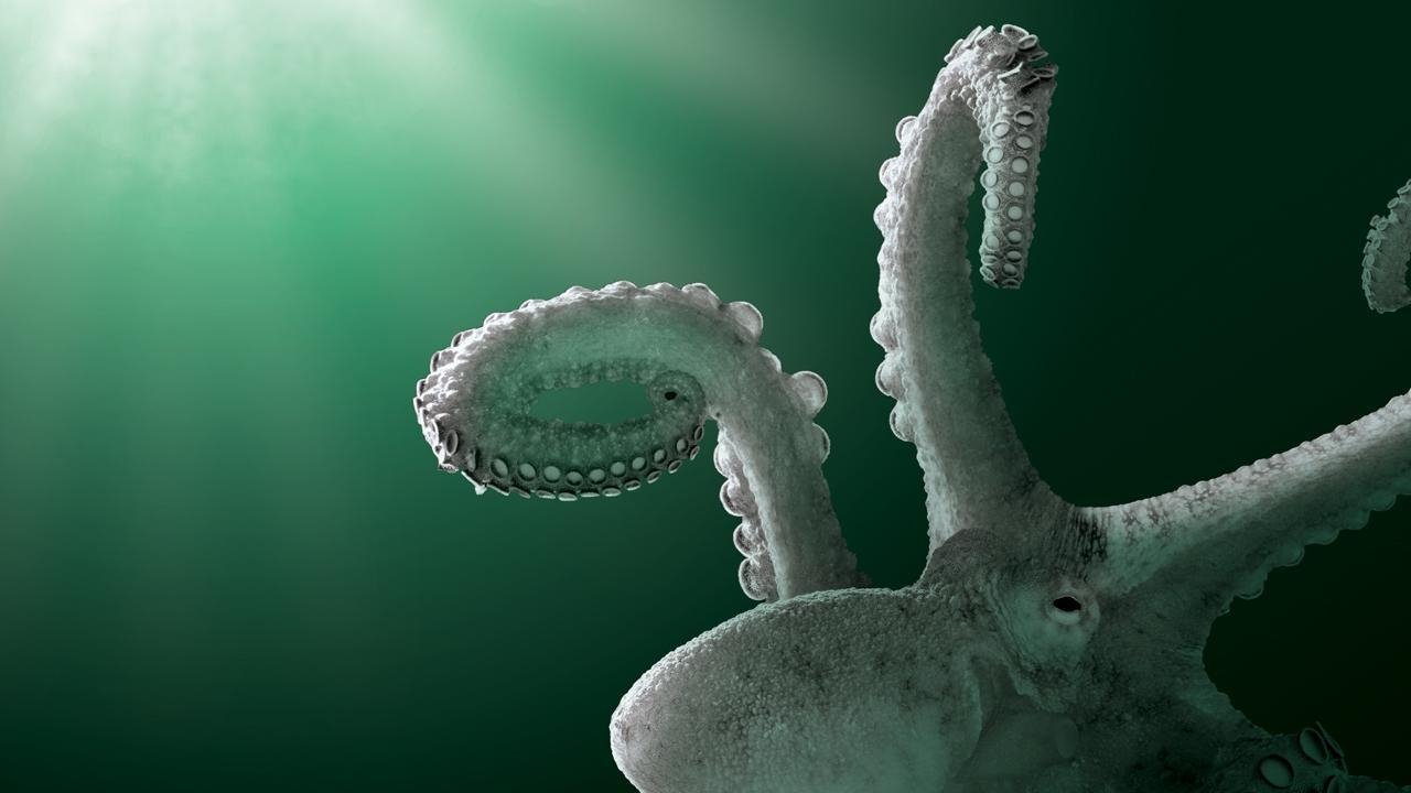 Aliens of the Deep Sea|Aliens of the Deep Sea