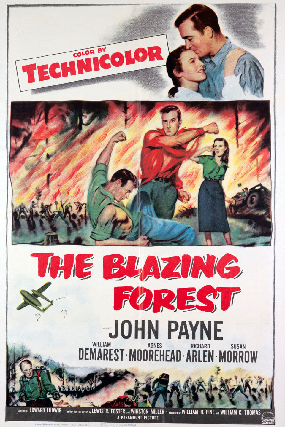 The Blazing Forest | The Blazing Forest