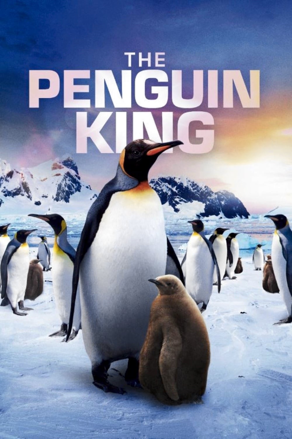 The Penguin King | The Penguin King