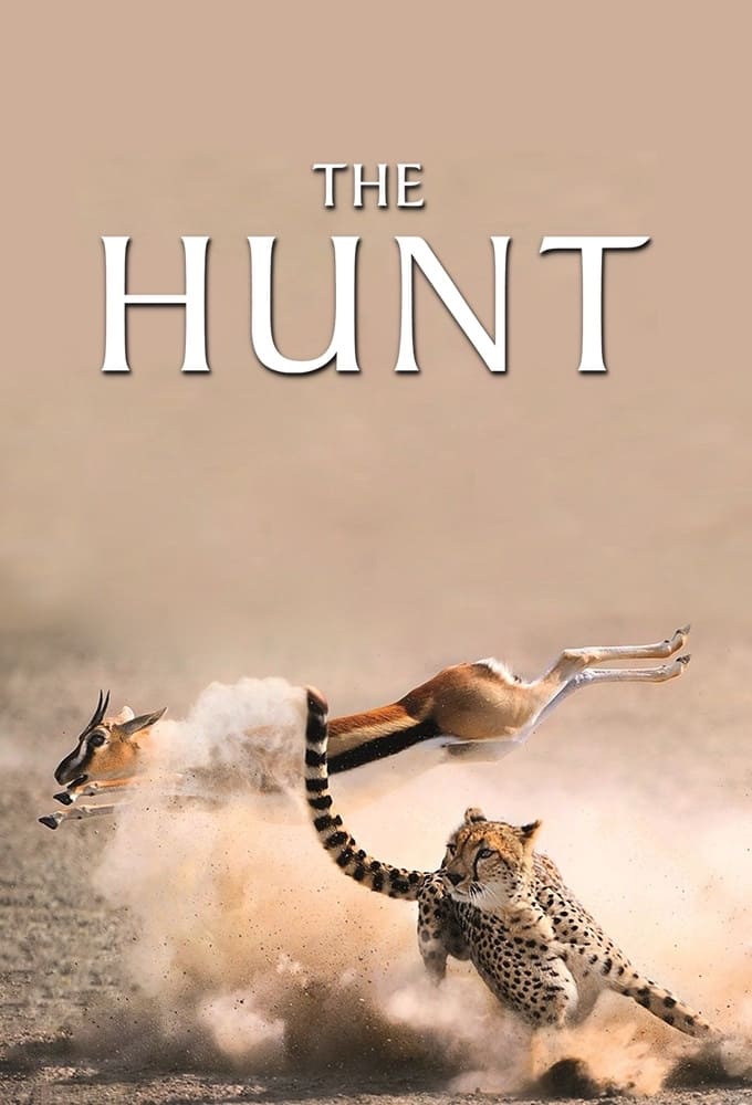 The Hunt | The Hunt