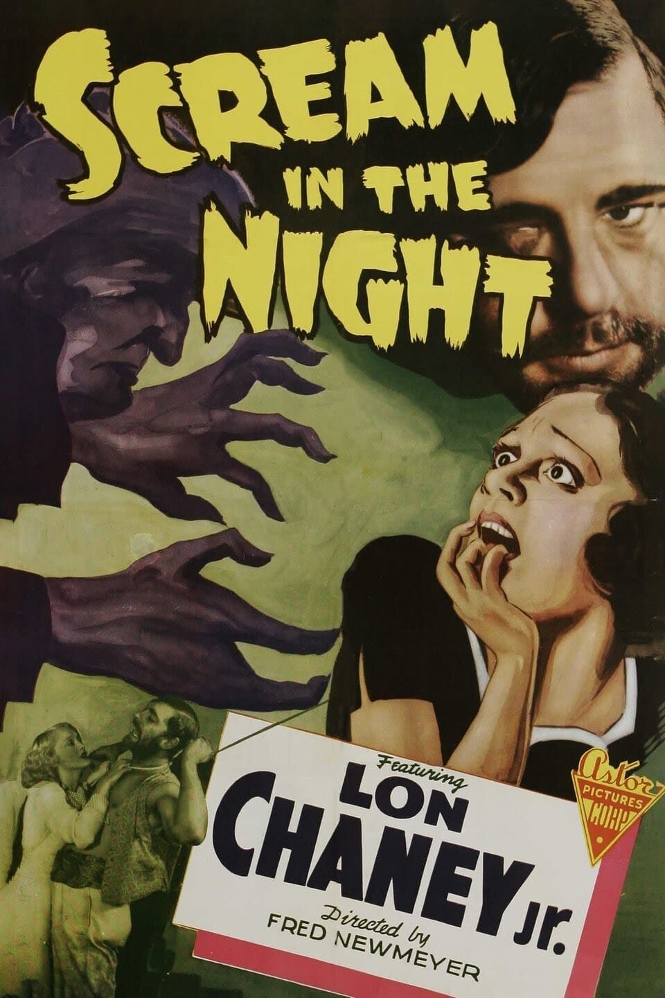 A Scream in the Night | A Scream in the Night