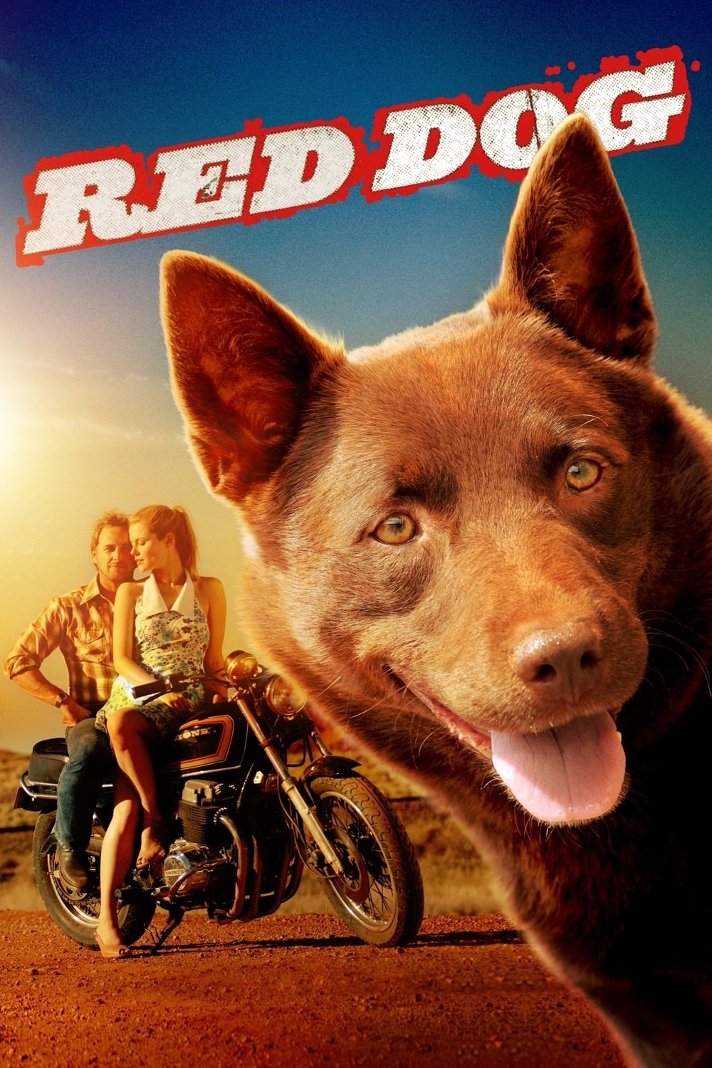 Red Dog | Red Dog