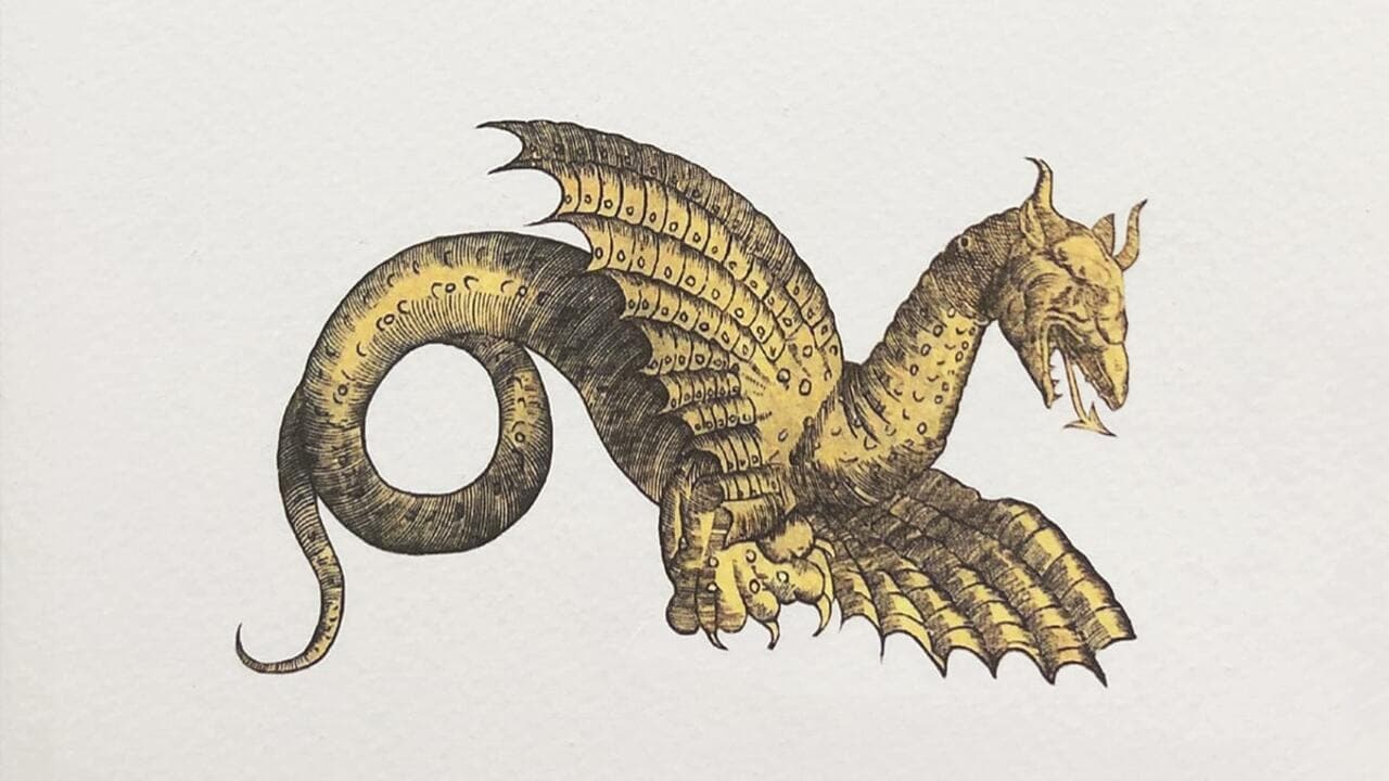 Draconis. La Storia del Drago di Rimini|Draconis. La Storia del Drago di Rimini