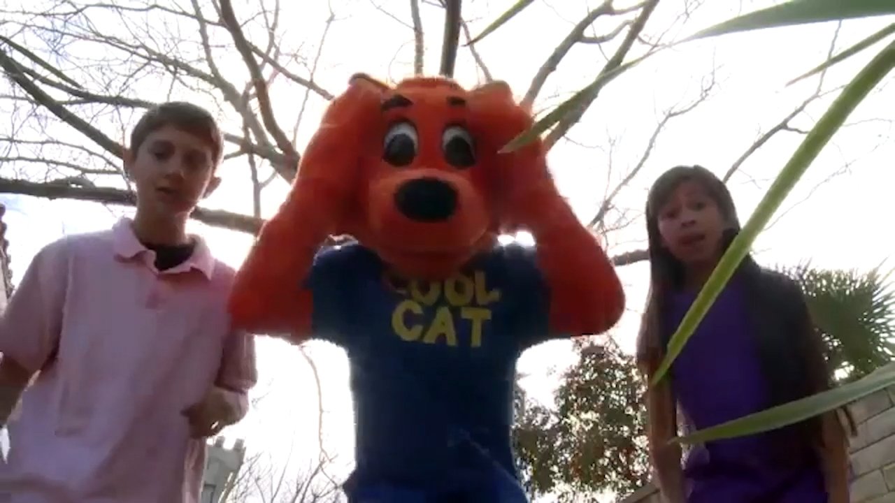 Cool Cat Finds a Gun|Cool Cat Finds a Gun