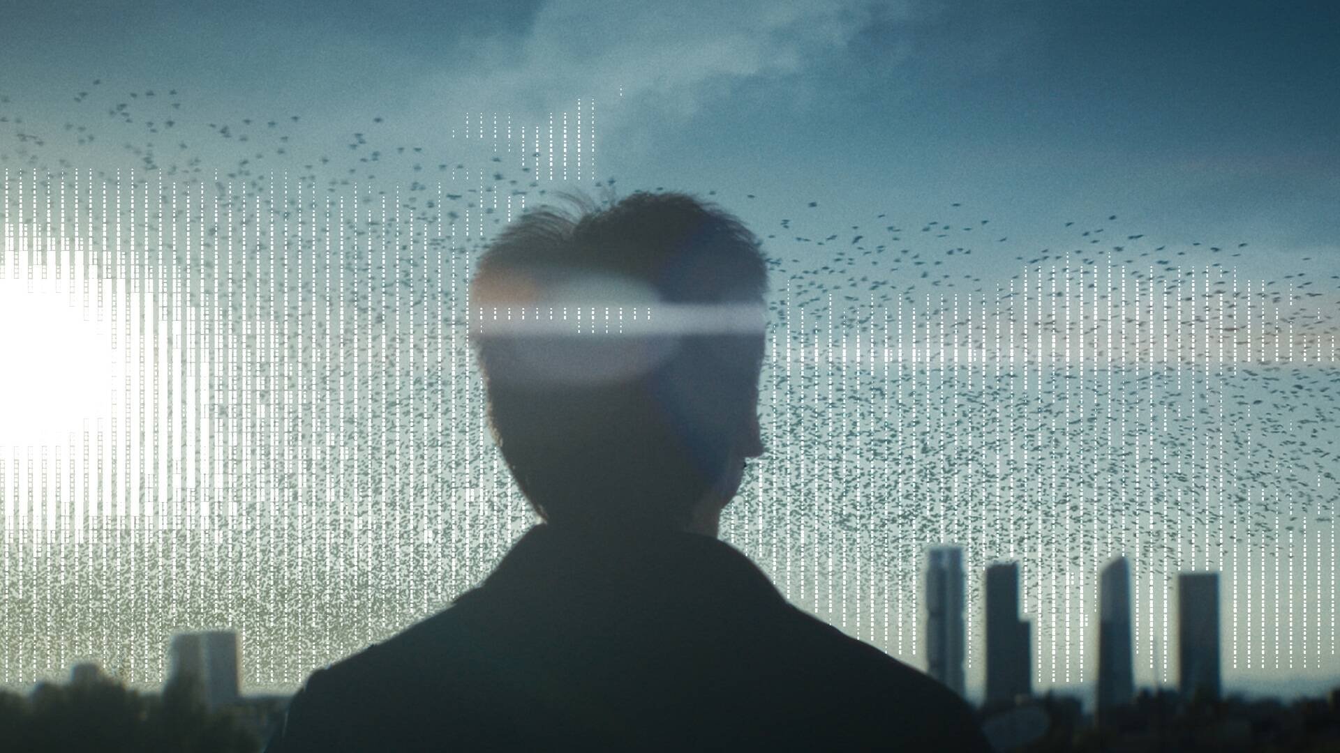 Imaginadores|Imaginadores