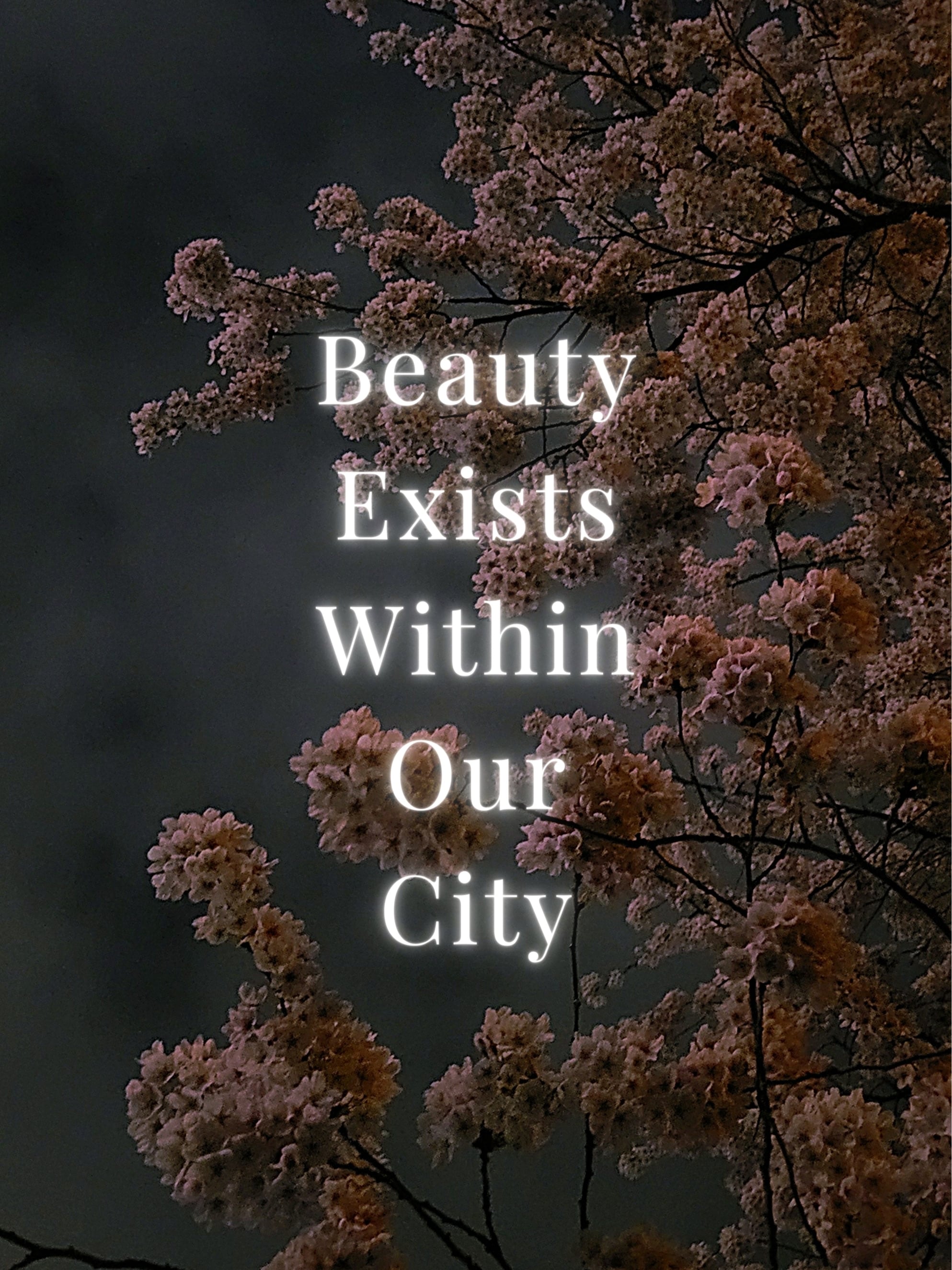 Beauty Exists Within Our City | Beauty Exists Within Our City