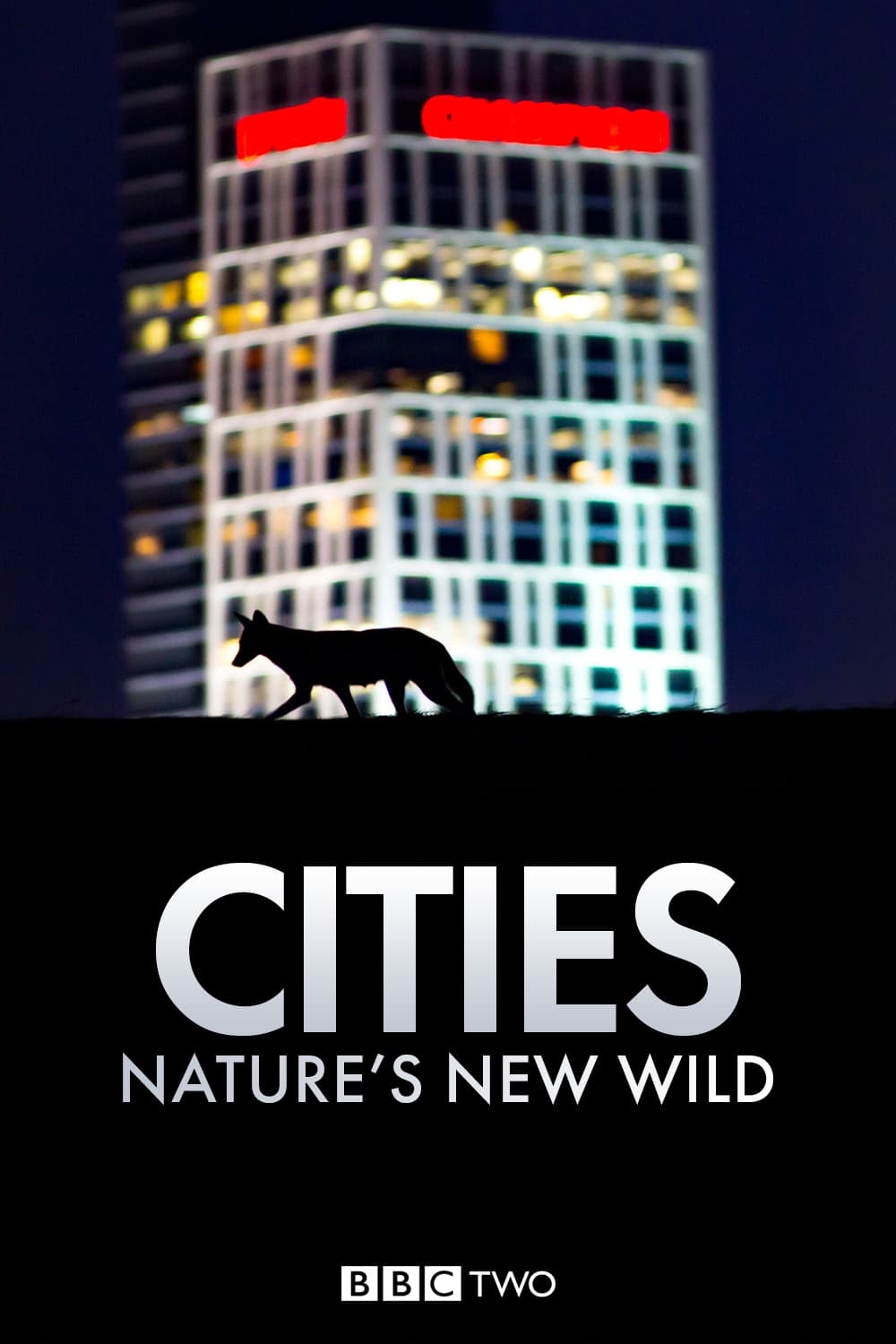 Cities: Nature's New Wild | Cities: Nature's New Wild