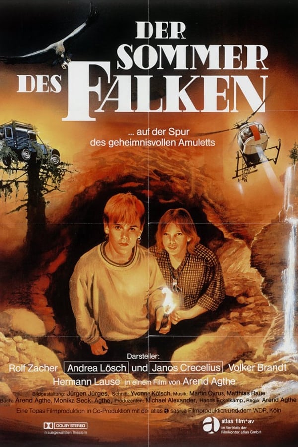 Der Sommer des Falken | Der Sommer des Falken