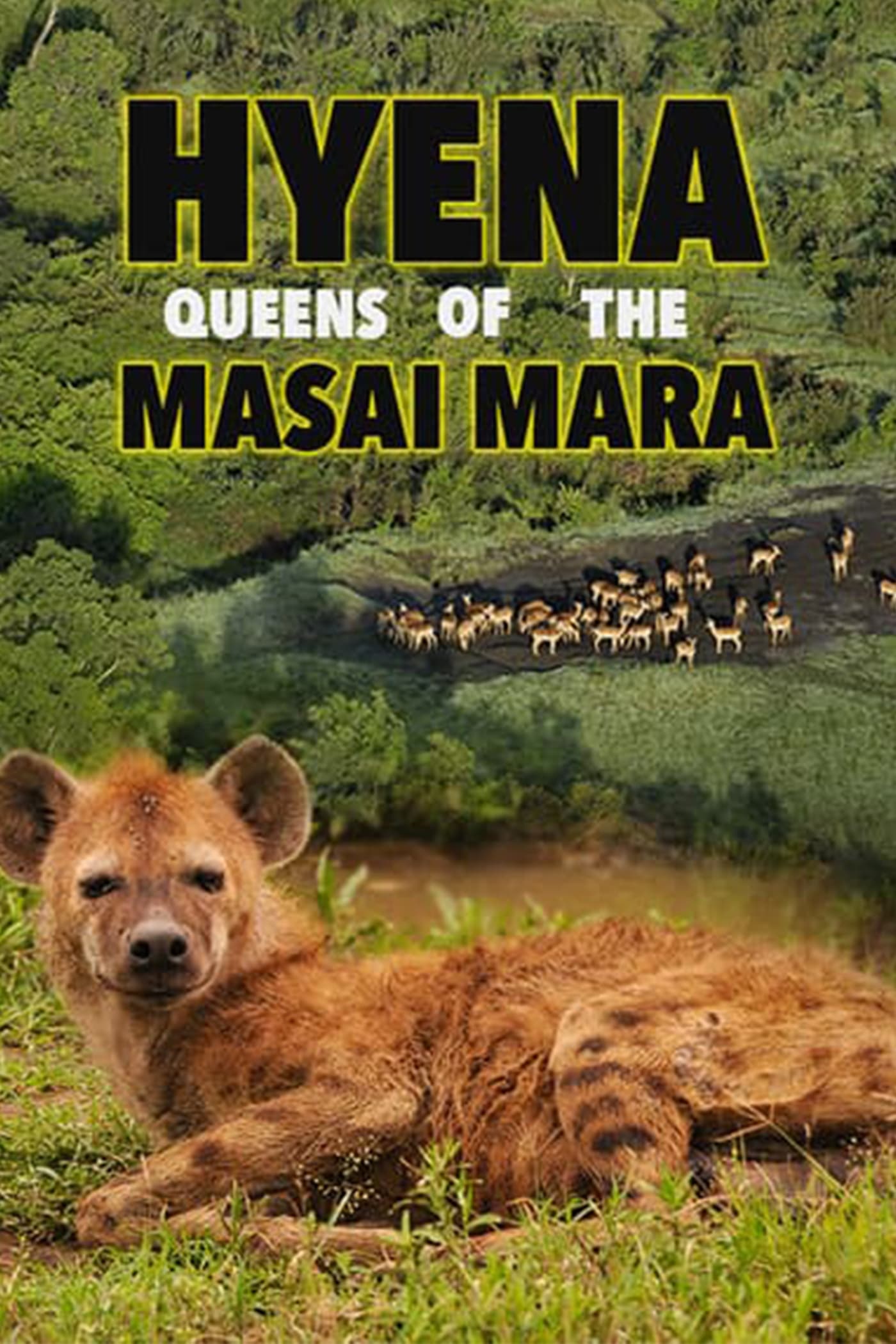 Hyena: Queen of the Masai Mara | Hyena: Queen of the Masai Mara