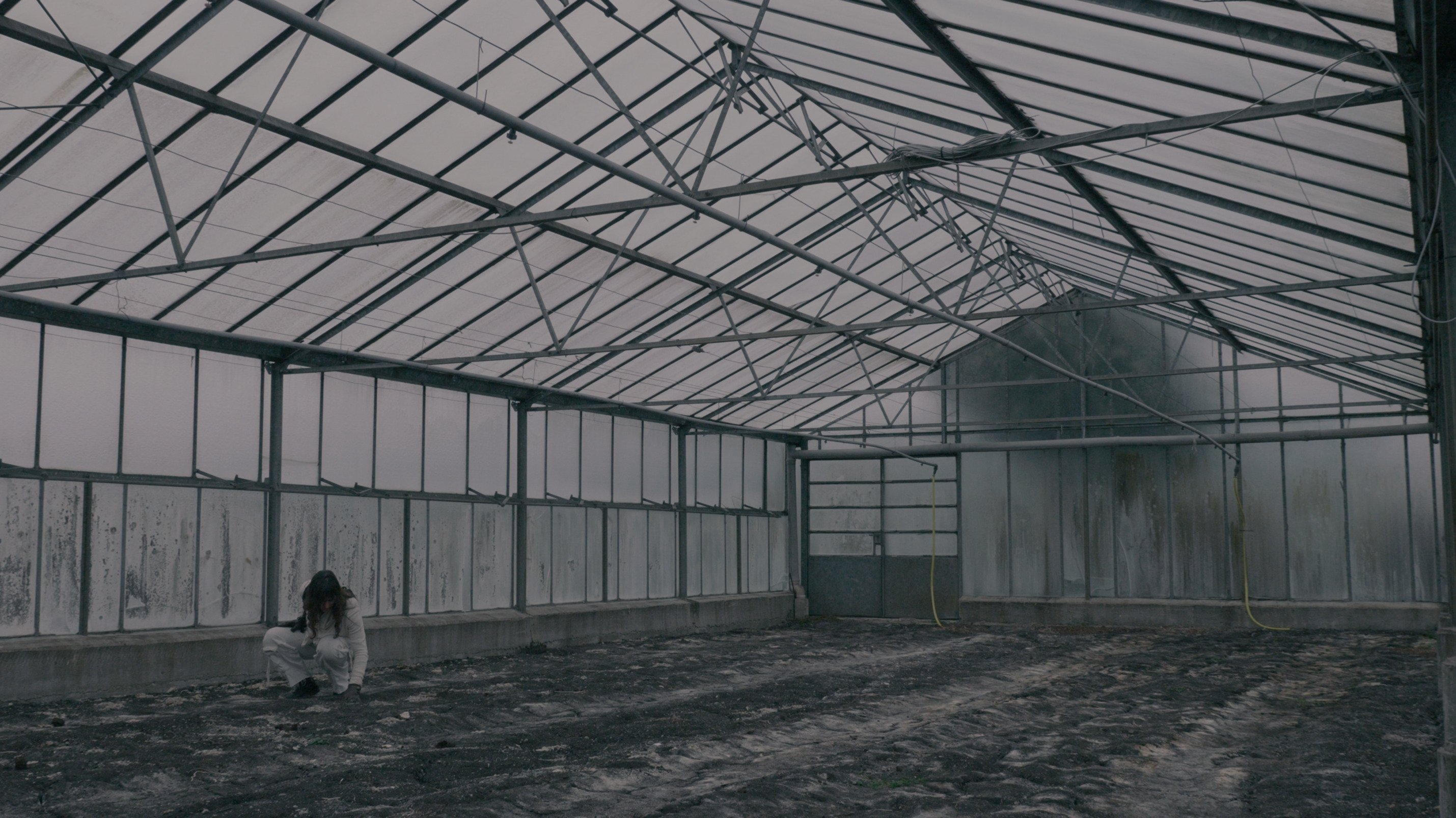 BLOOM - A Dystopian Short Film|BLOOM - A Dystopian Short Film