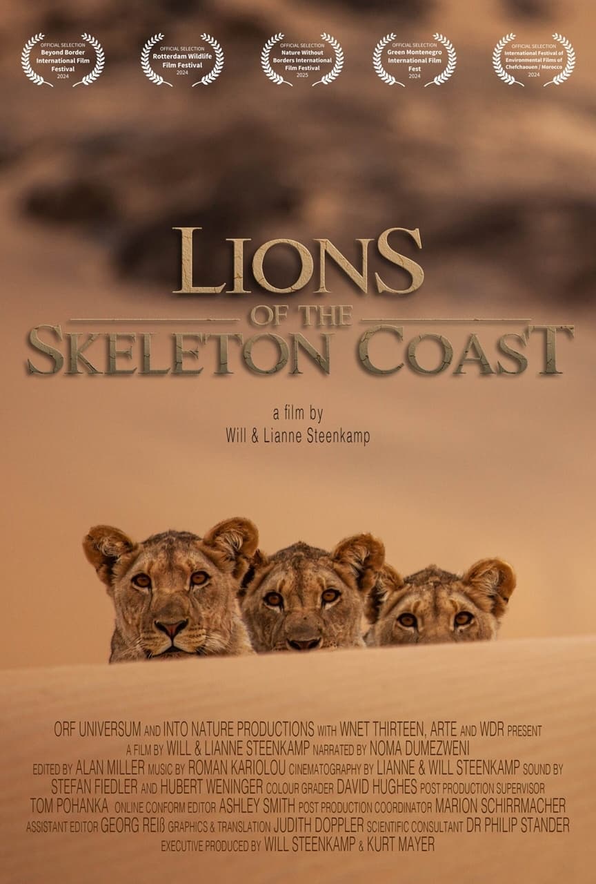 Lions of the Skeleton Coast | Lions of the Skeleton Coast