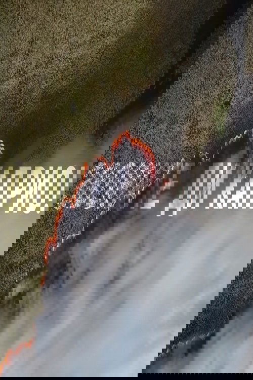 Звоните Ди Каприо