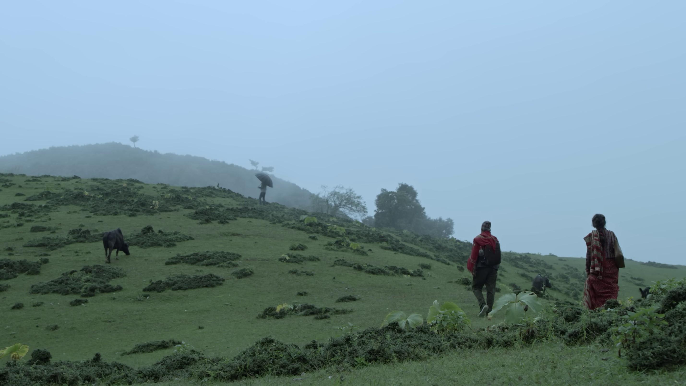 पानीफोटो|पानीफोटो