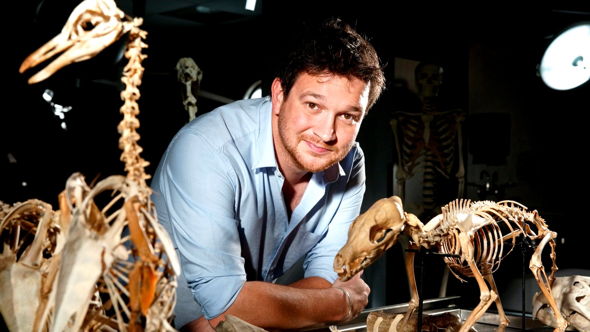 Secrets of Bones|Secrets of Bones
