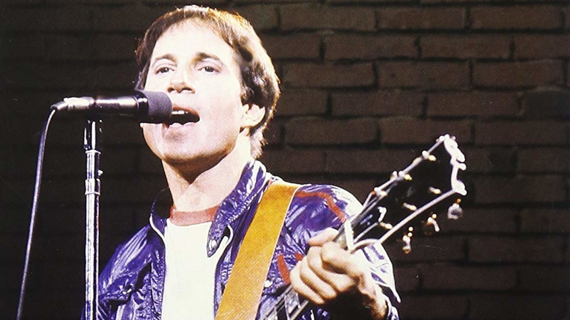 Paul Simon in Concert|Paul Simon in Concert