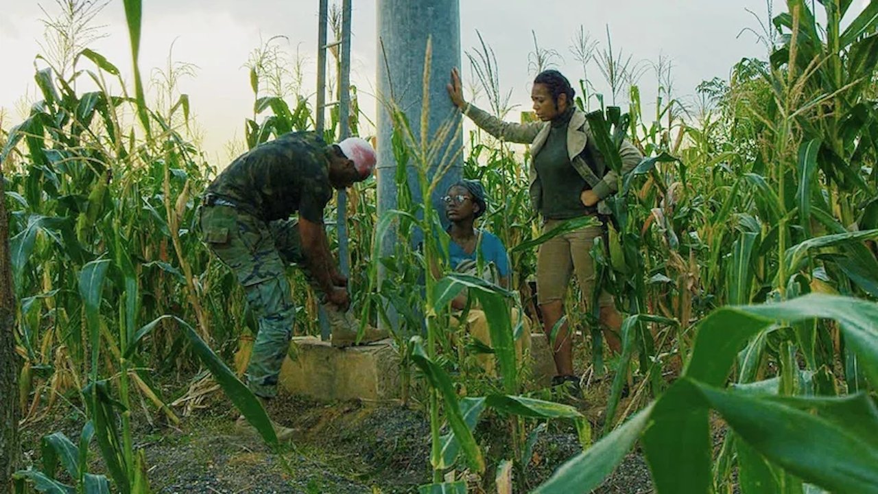 The Island|The Island