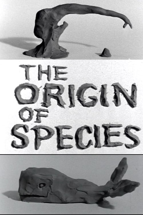 Clay or The Origin of Species | Clay or The Origin of Species