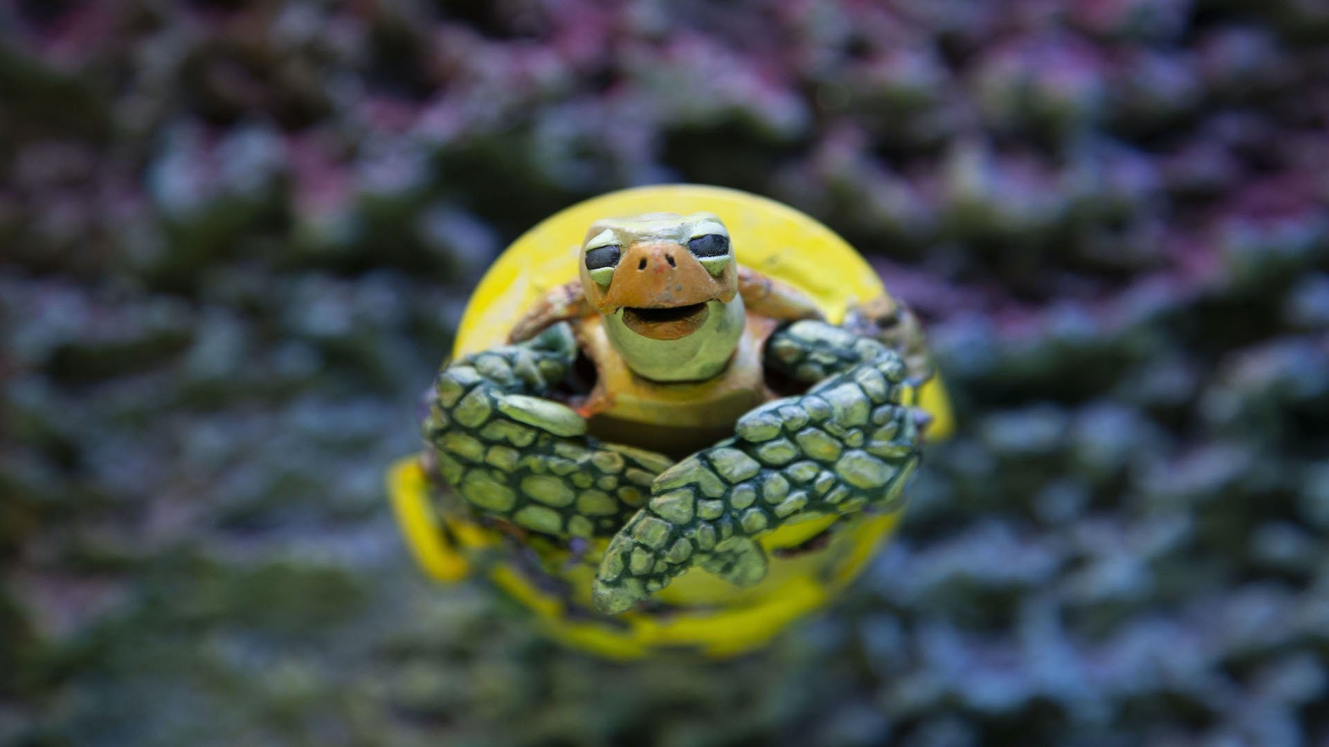 La tortuga de plástico|La tortuga de plástico