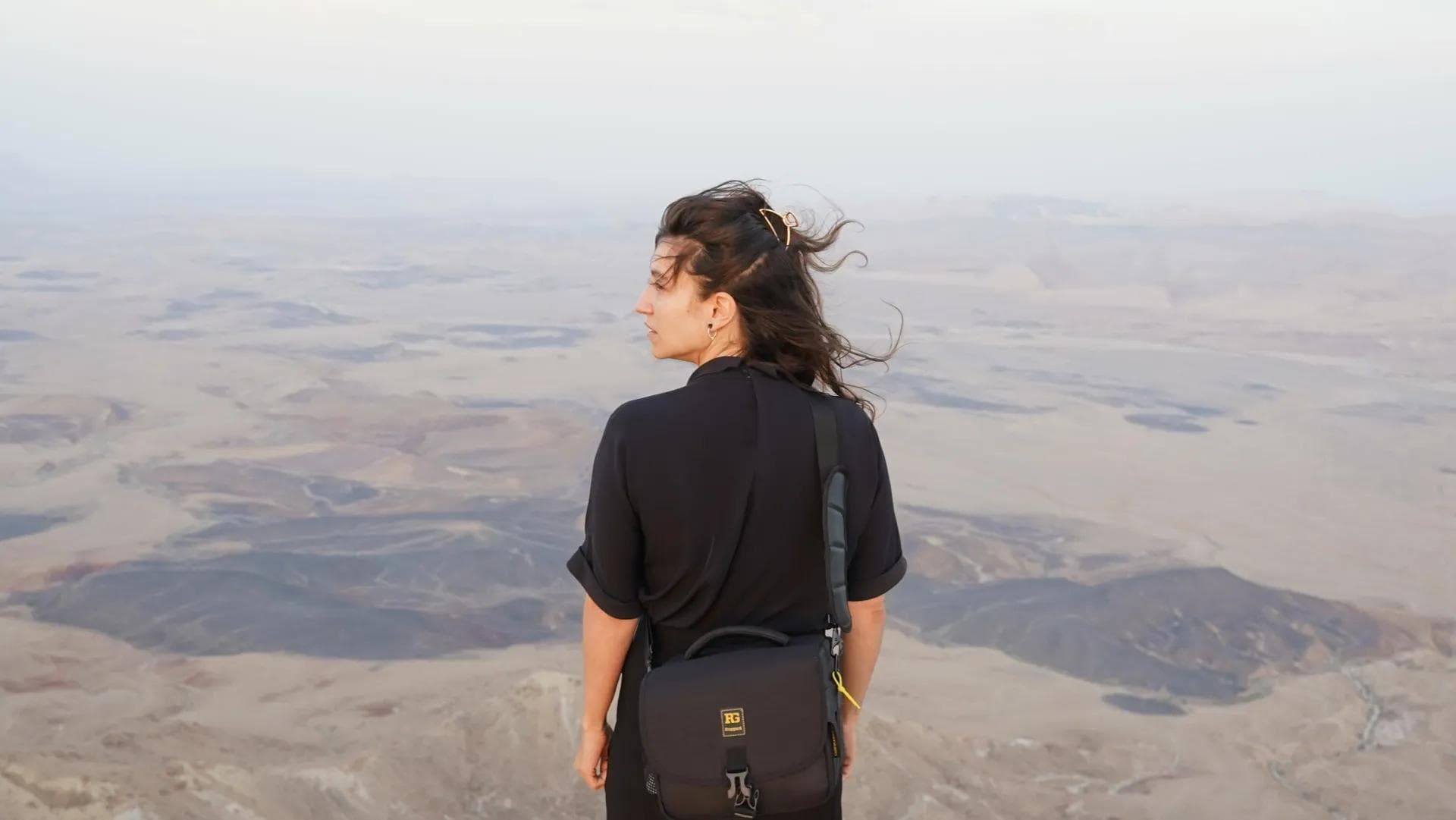 ציפורים משונות|ציפורים משונות