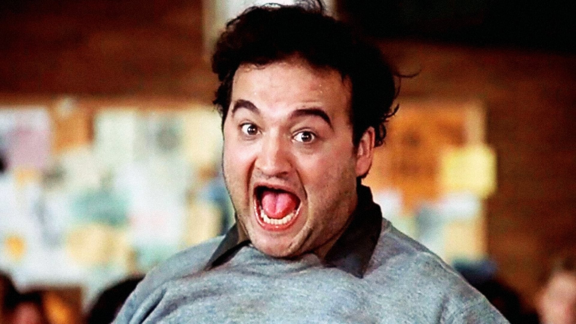 Animal House|Animal House