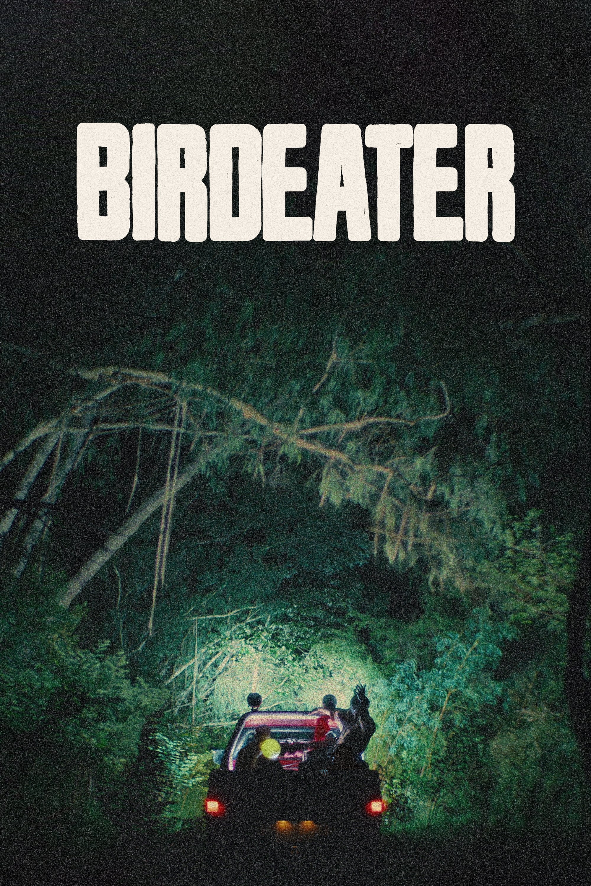 Birdeater | Birdeater