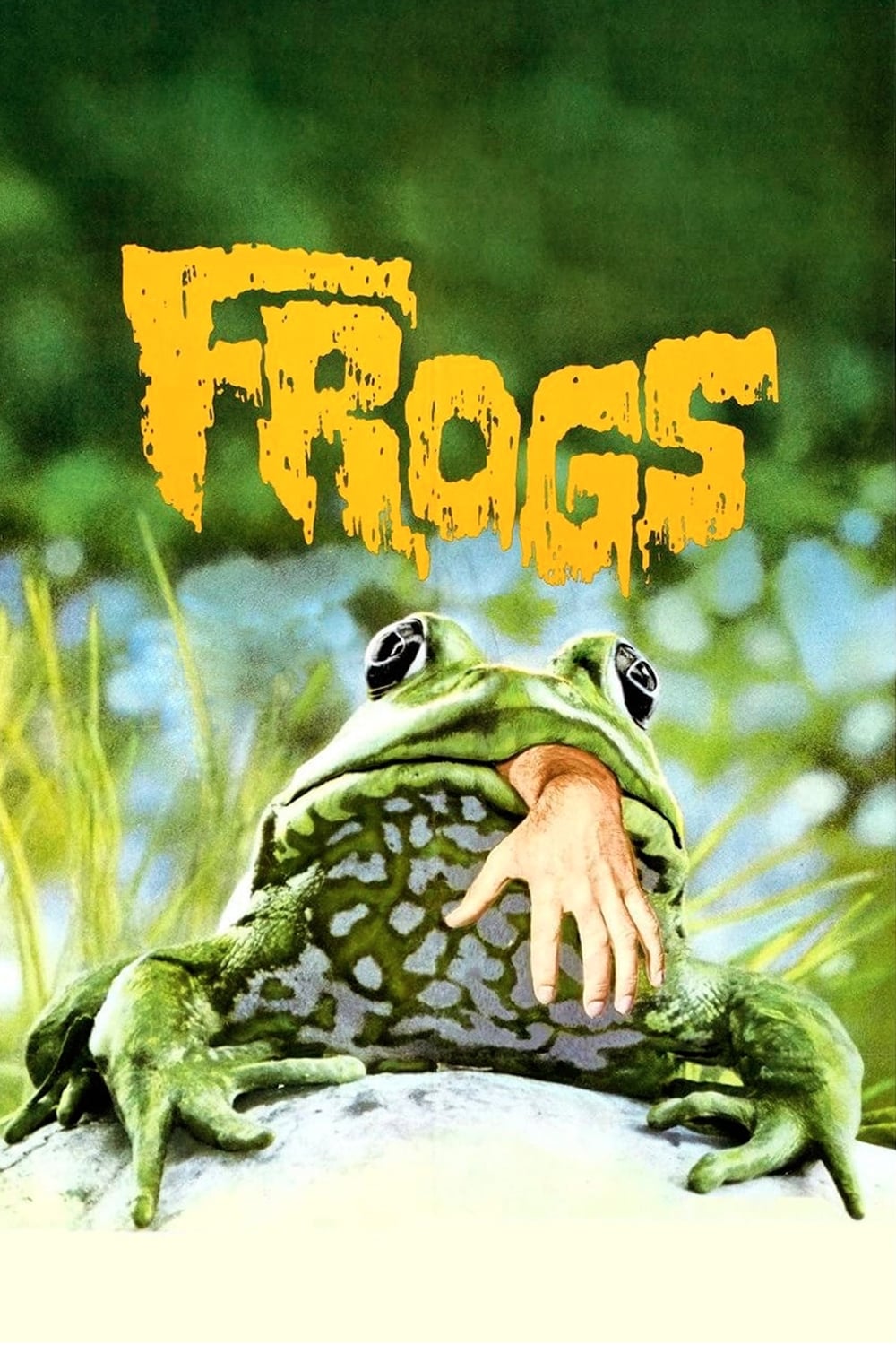 Frogs | Frogs