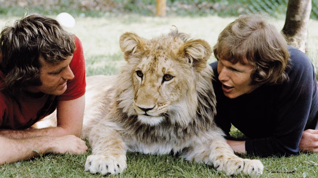A Lion Called Christian|A Lion Called Christian