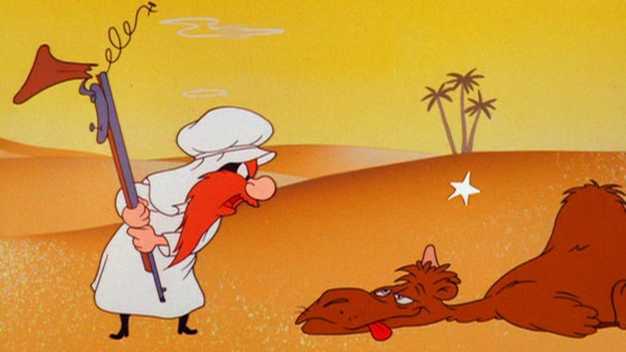 Sahara Hare|Sahara Hare