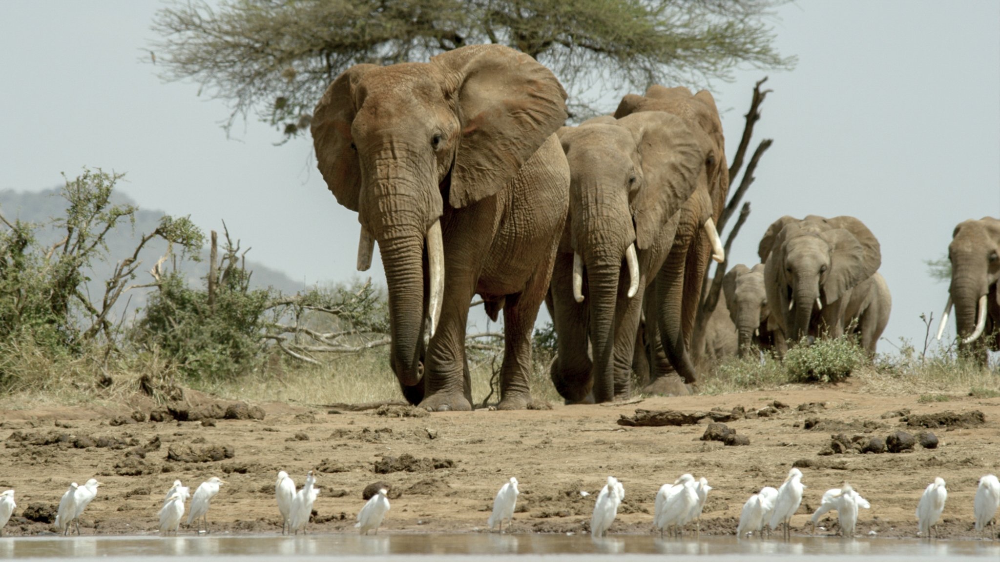 Kenia - Eine Oase im Sand|Kenia - Eine Oase im Sand