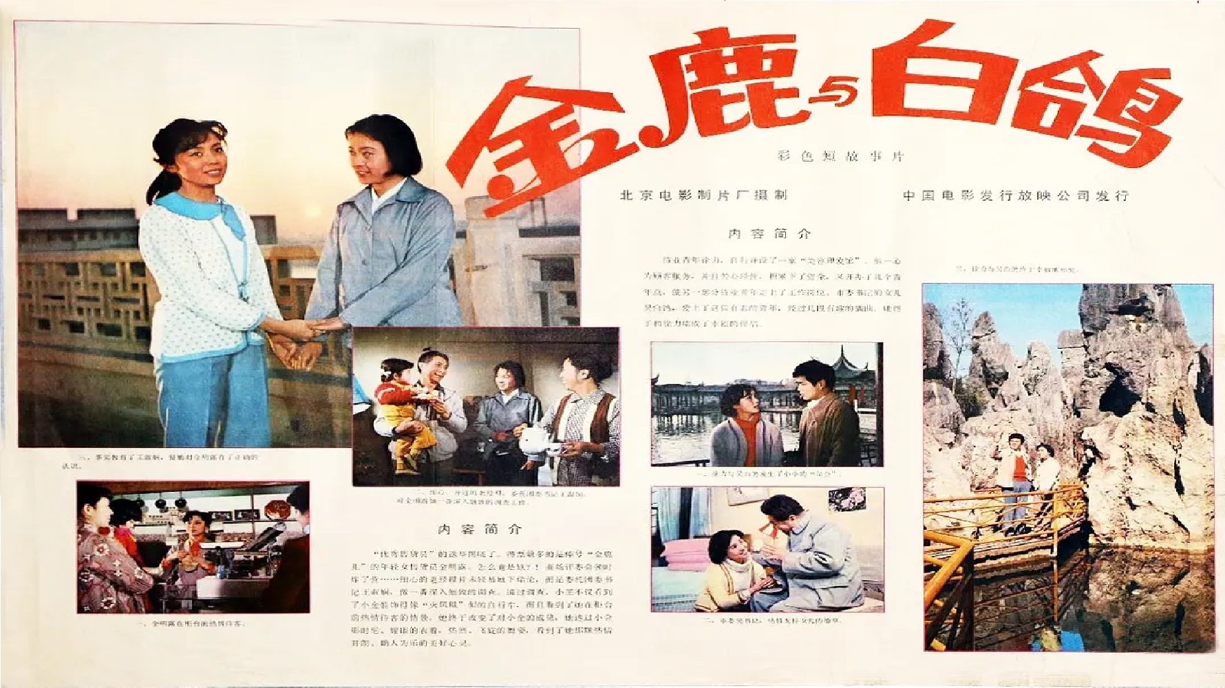 金鹿|金鹿