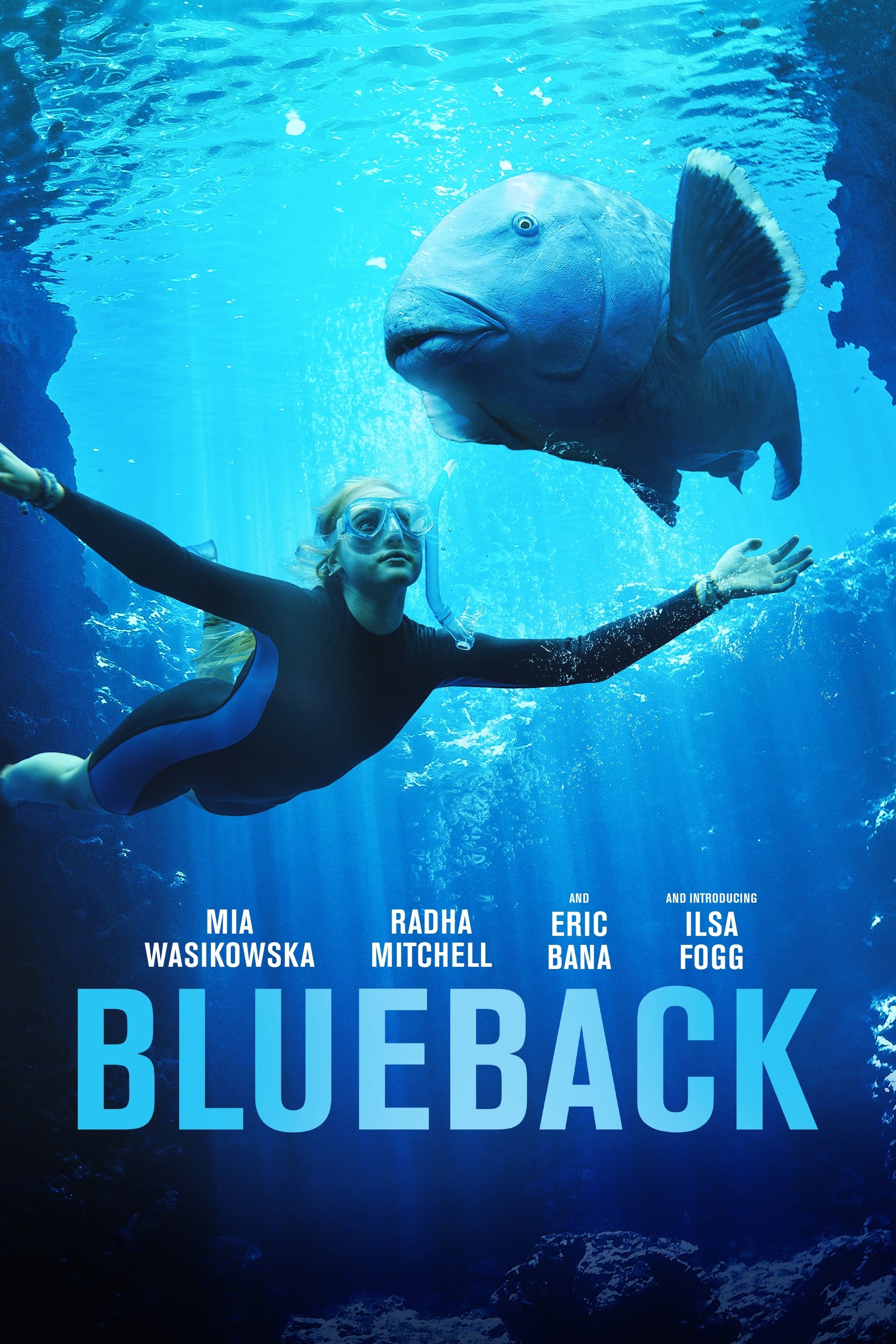 Blueback | Blueback