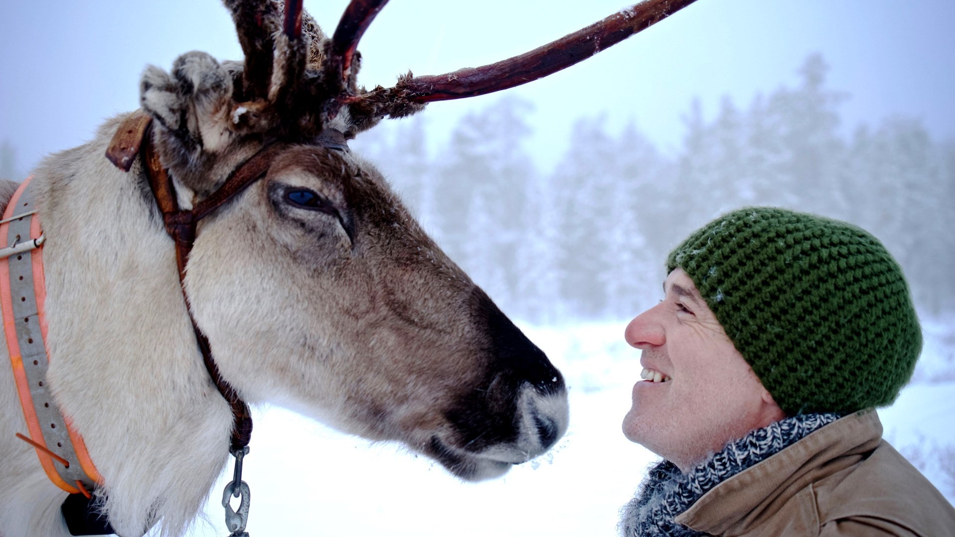 Reindeer Family & Me|Reindeer Family & Me