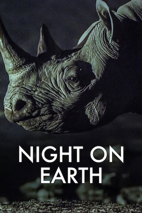 Night on Earth | Night on Earth