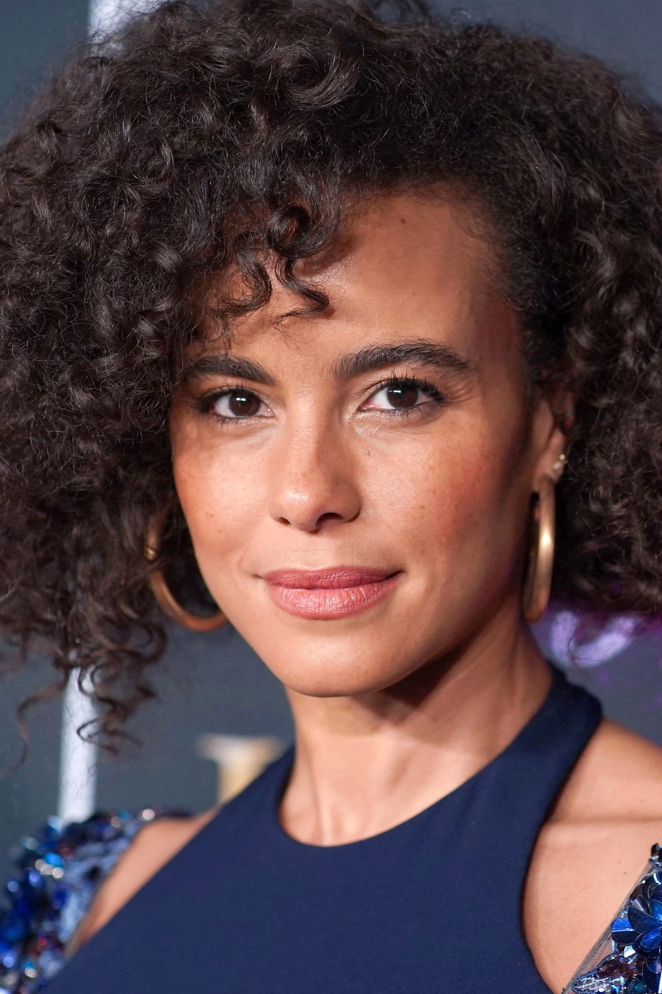 بازیگر Parisa Fitz-Henley  