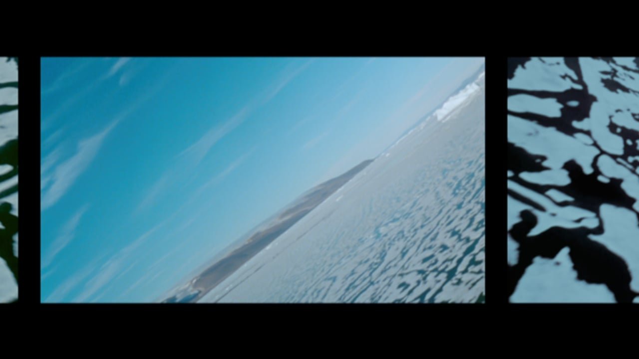 Polar Life|Polar Life