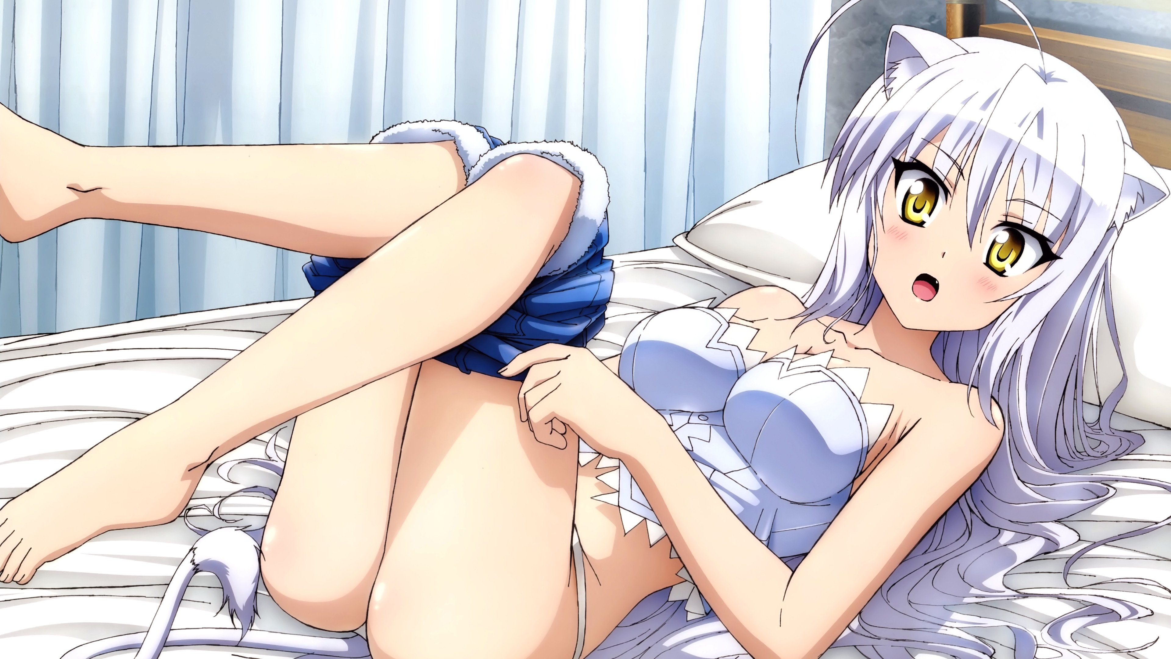 DOG DAYS|DOG DAYS