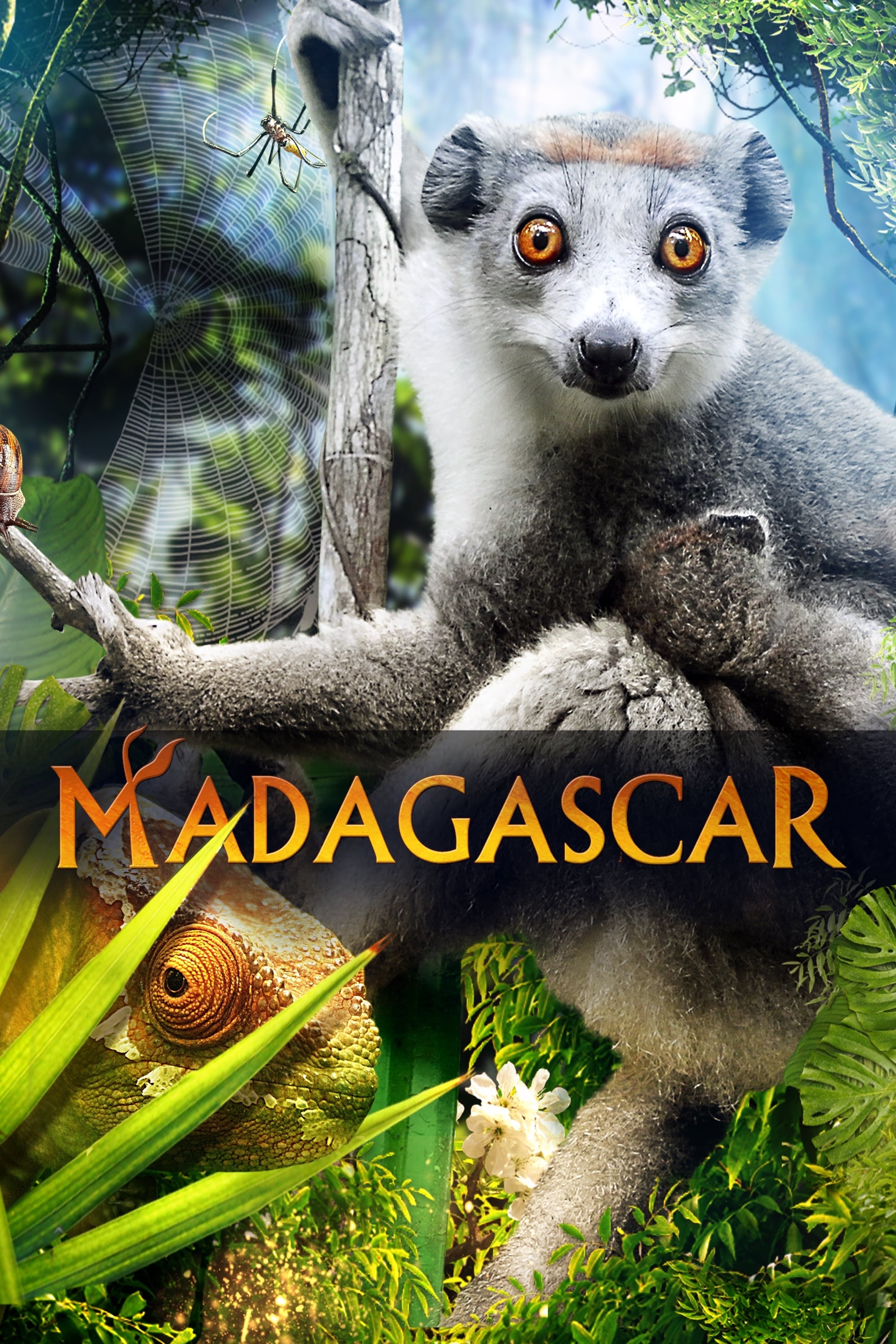 Madagascar 3D | Madagascar 3D